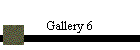 Gallery 6
